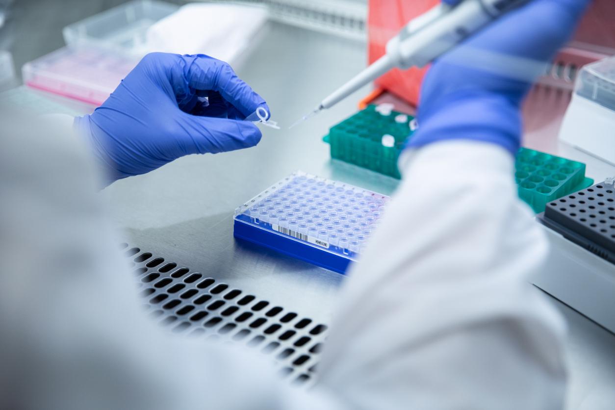Unité d'immunologie cellulaire