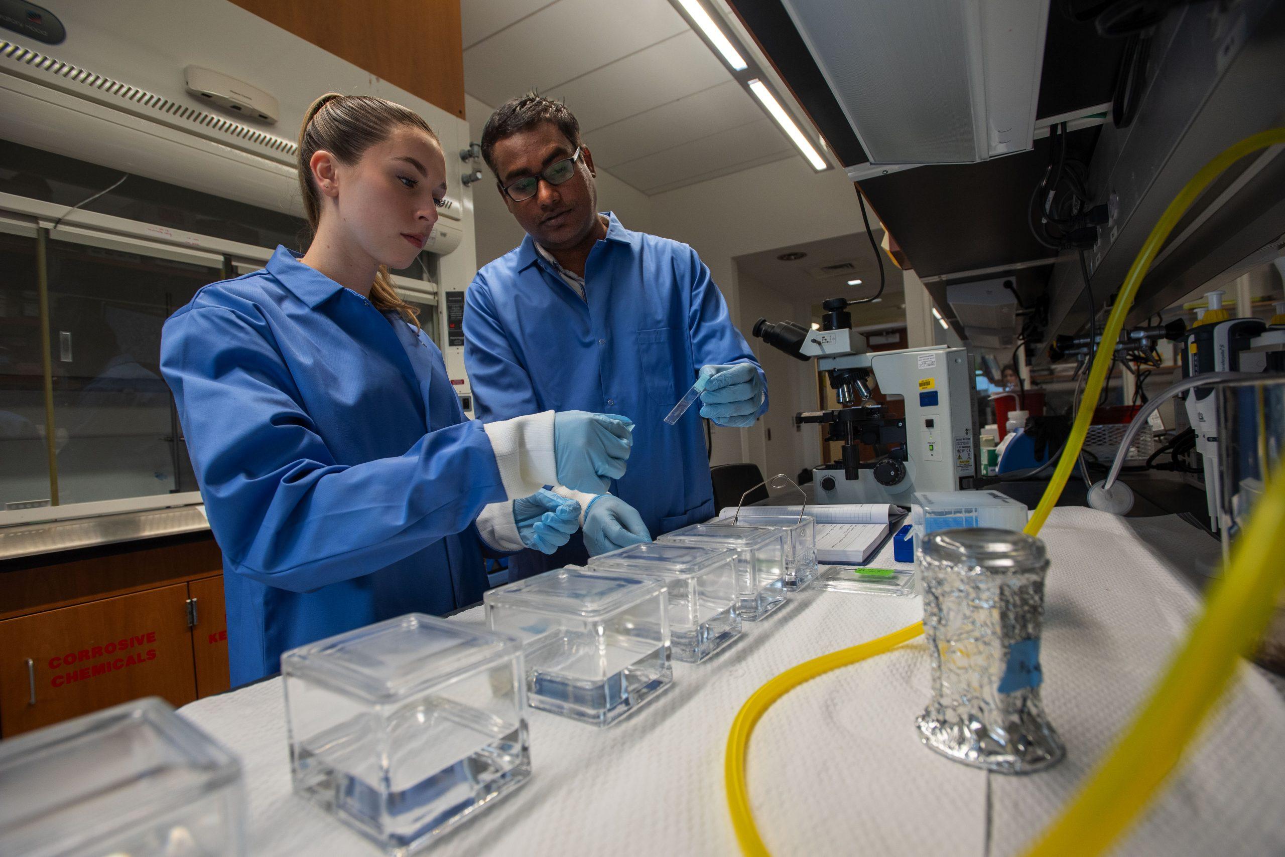 Unité d’immunopharmacologie